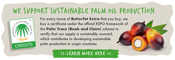 PALM TRACE CERTIFICATE