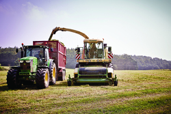 Early silage analysis results are not as promising as some may expect